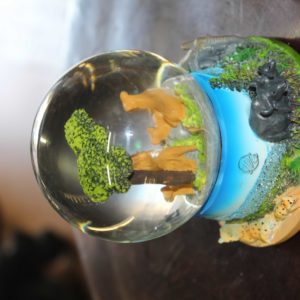 Snow Globe R250